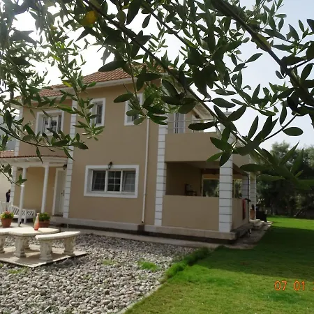 فيلة Morris نيدري